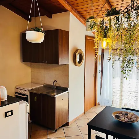 Appartement Petit Palais *