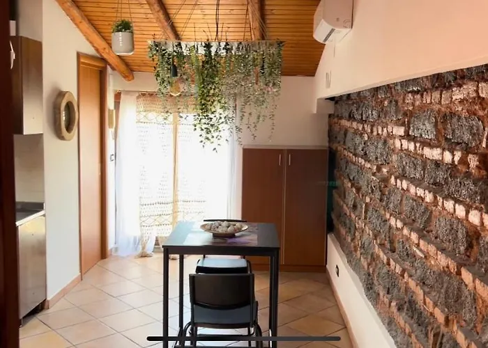 Petit Palais Daire Katanya