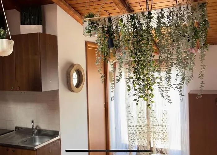 Daire Petit Palais *