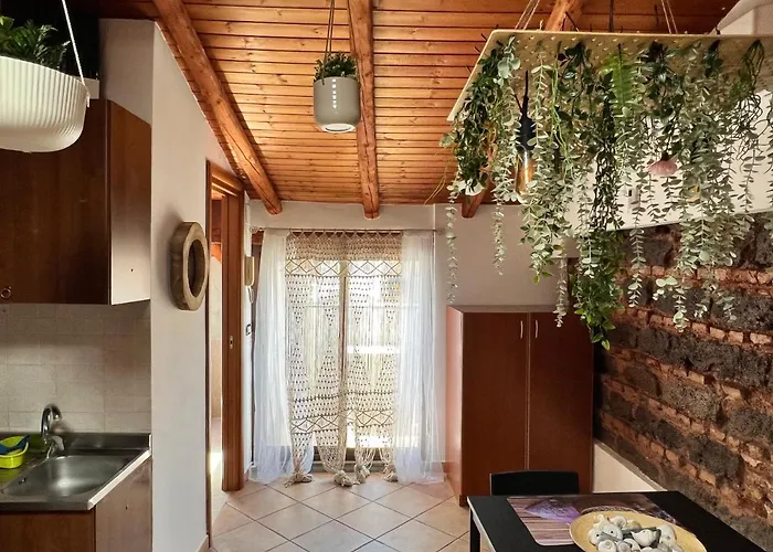 Petit Palais Daire Katanya