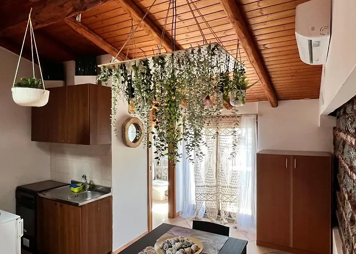 Petit Palais Daire Katanya