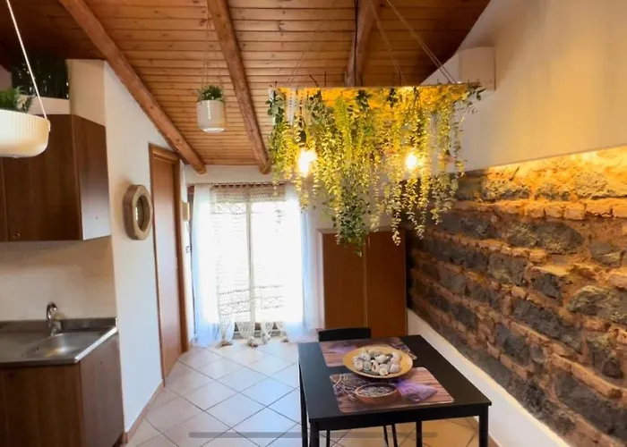 Petit Palais Daire *