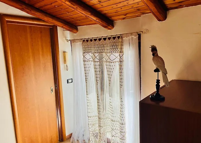 Daire Petit Palais Katanya