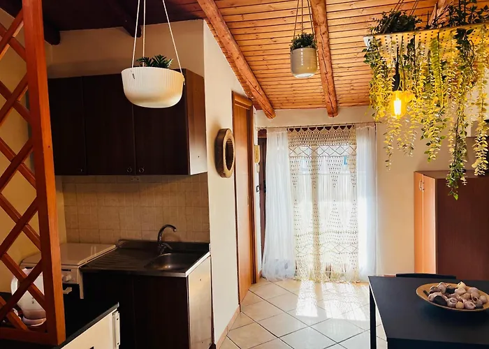 Petit Palais * Katanya