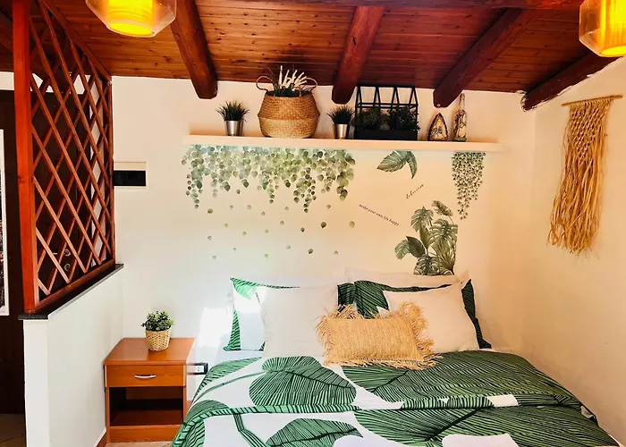 Petit Palais Katanya