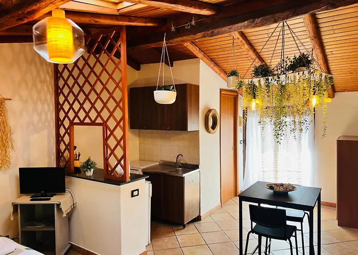 Petit Palais Daire *