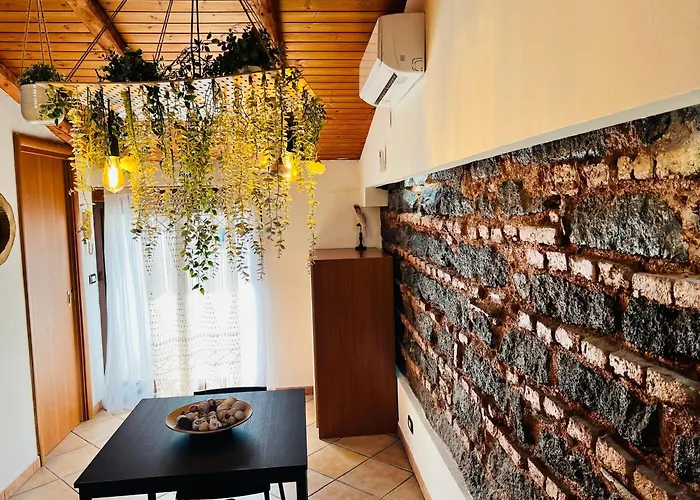 Daire Petit Palais Katanya