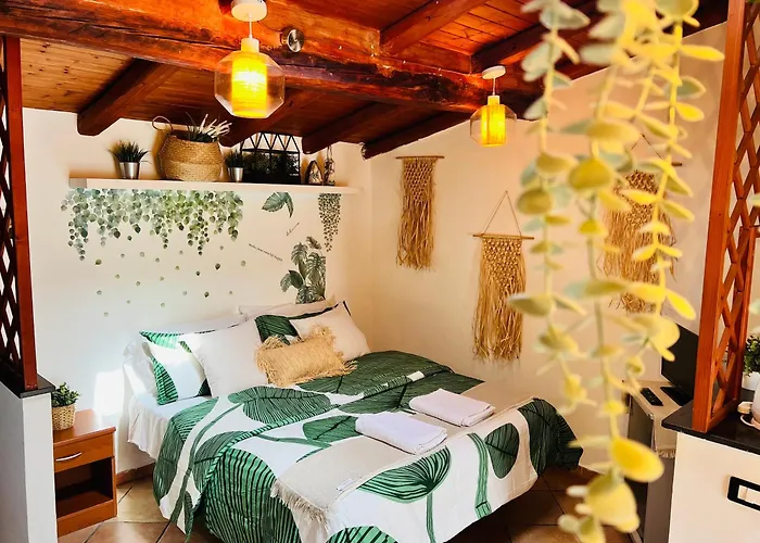 Petit Palais Daire *