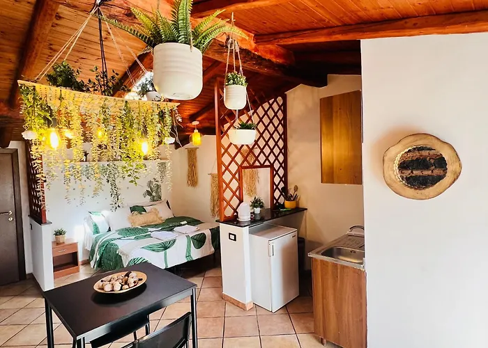 Daire Petit Palais *