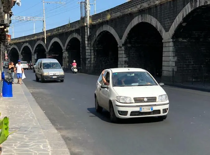 Daire Petit Palais Katanya